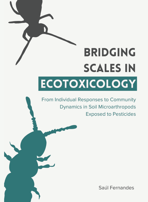 Bridging Scales In Ecotoxicology Thesis Image